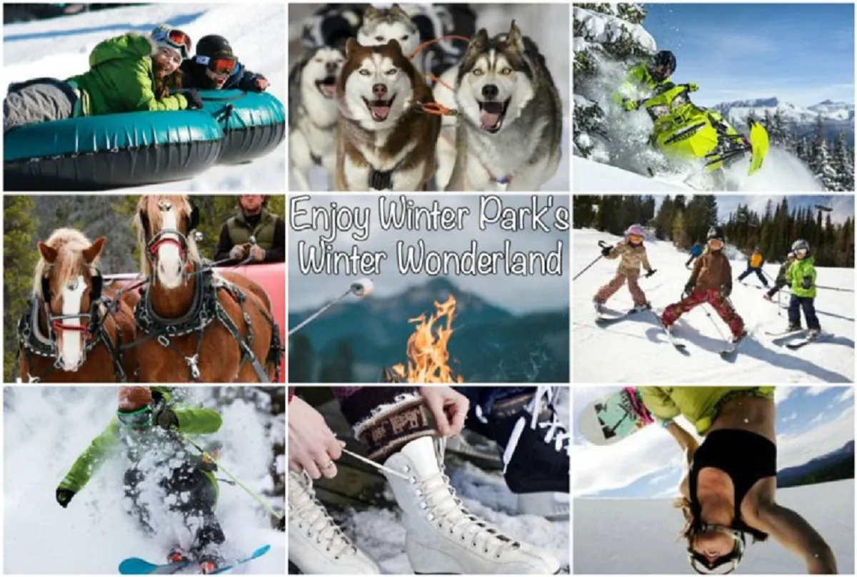 This energetic exterior scene shows people partaking in classic winter activities such as snow tubing, dog sledding with huskies, snowmobiling, skiing, snowboarding, and children playing in the snow. The mood is joyful and communal, highlighting the diversity of outdoor adventure for all ages.